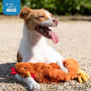 Best Pet Supplies Interactive Squeaky Dog Chew Toy - Crinkle Chicken (Large)